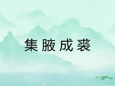 集腋成裘 集腋成裘