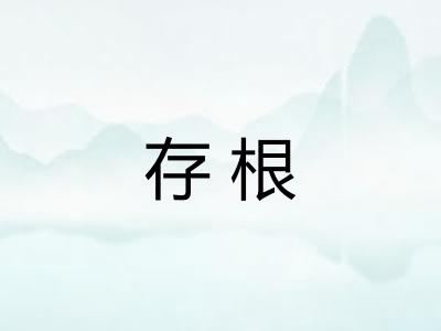 存根