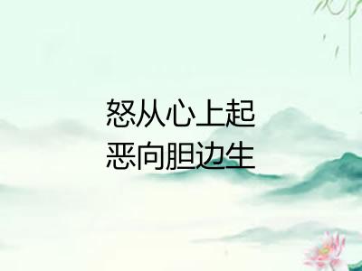 怒从心上起恶向胆边生 怒从心上起恶向胆边生