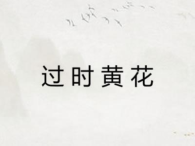 过时黄花