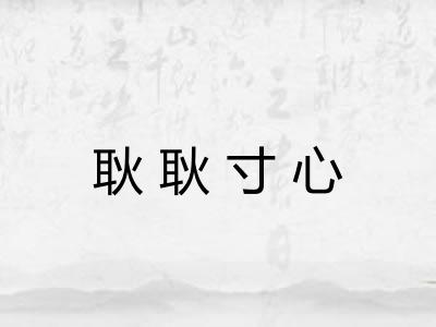 耿耿寸心
