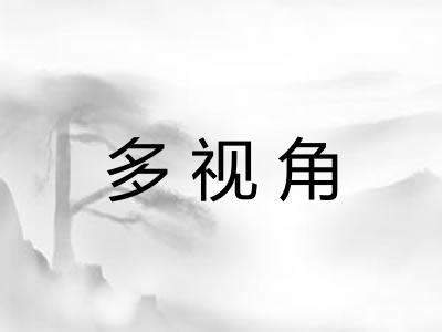 多视角