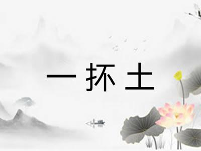 一抔土