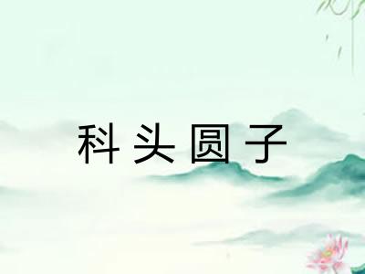 科头圆子