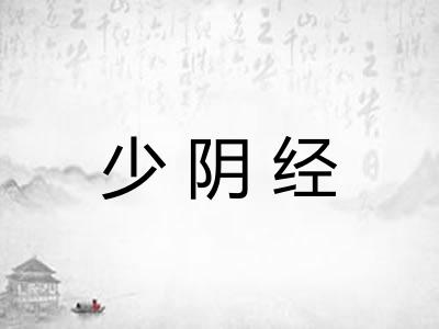 少阴经