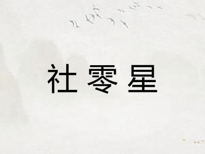社零星