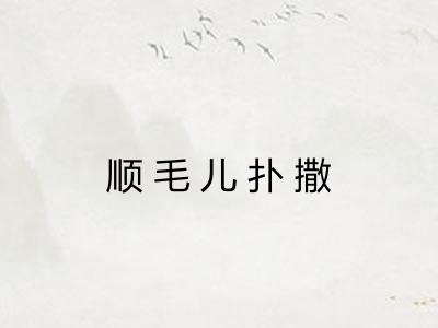 顺毛儿扑撒