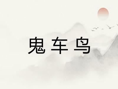 鬼车鸟