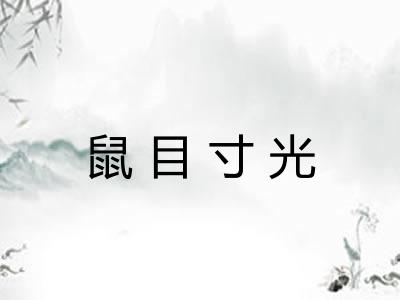 鼠目寸光 鼠目寸光