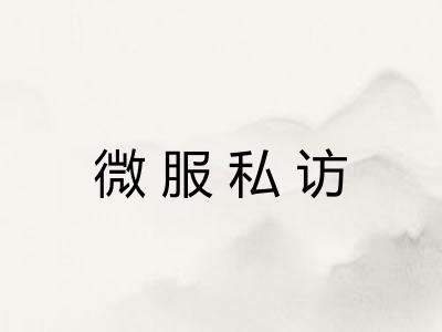 微服私访