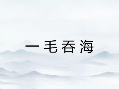 一毛吞海
