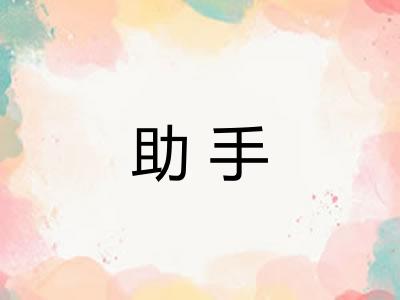 助手