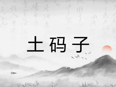 土码子 土码子