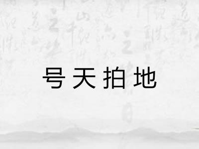 号天拍地