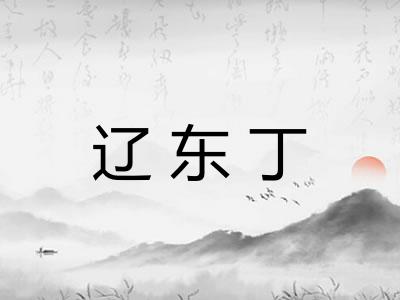辽东丁 辽东丁