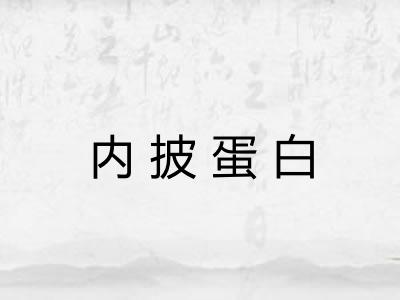 内披蛋白