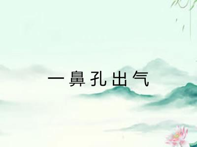 一鼻孔出气 一鼻孔出气