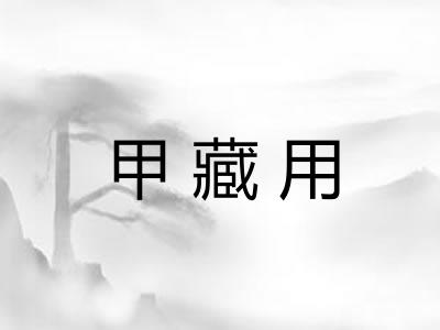 甲藏用
