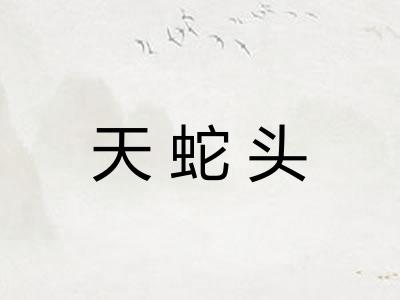 天蛇头