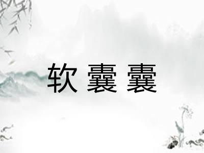 软囊囊