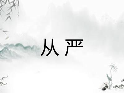 从严 从严