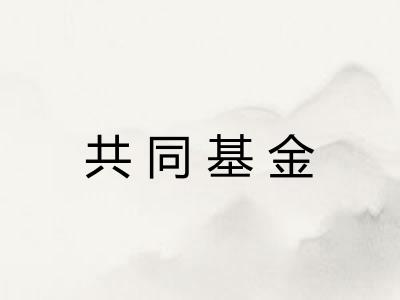 共同基金