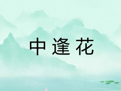 中逢花