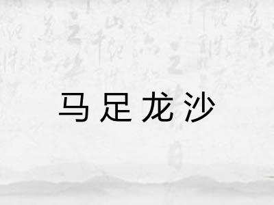 马足龙沙