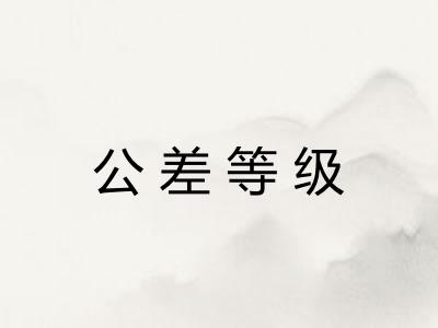 公差等级 公差等级