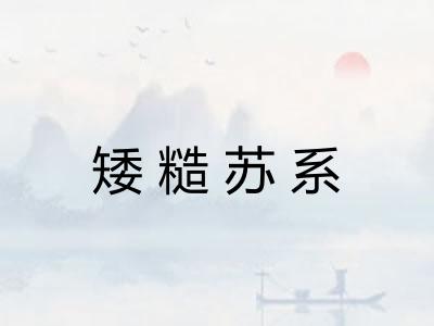 矮糙苏系 矮糙苏系