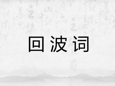 回波词