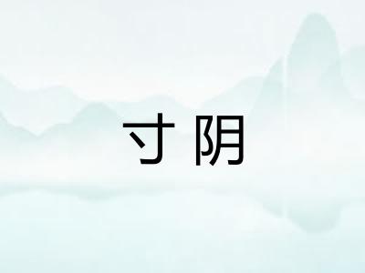 寸阴