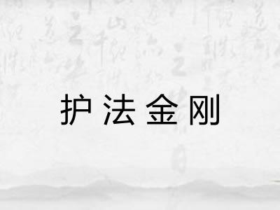 护法金刚 护法金刚