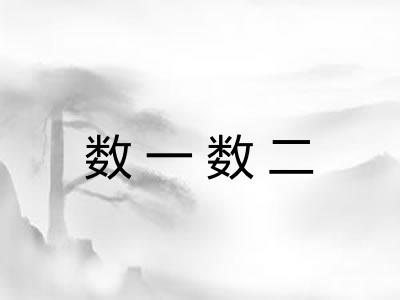 数一数二