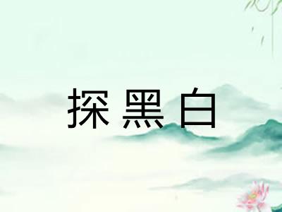 探黑白