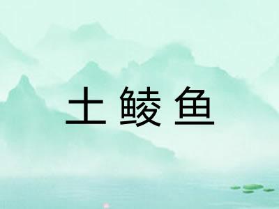 土鲮鱼
