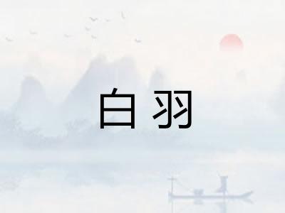 白羽
