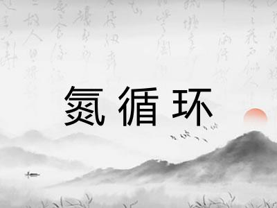 氮循环