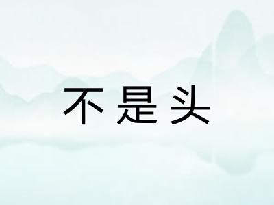 不是头