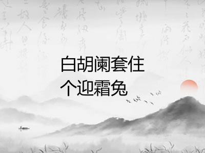 白胡阑套住个迎霜兔