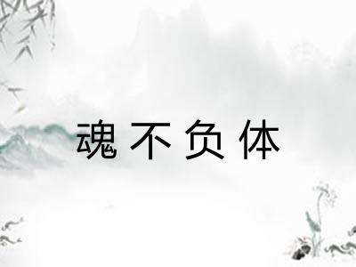 魂不负体