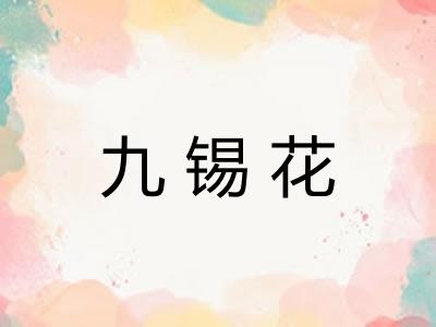 九锡花