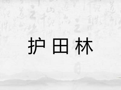 护田林 护田林