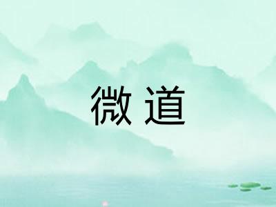 微道 微道