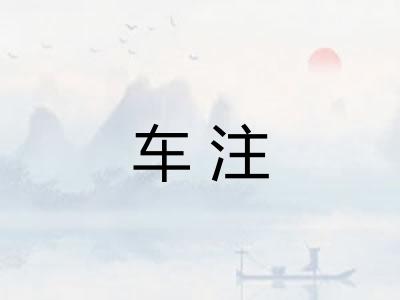 车注
