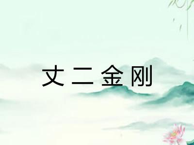 丈二金刚 丈二金刚