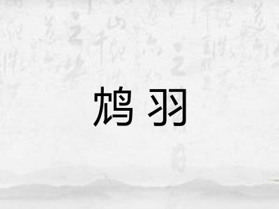 鸩羽