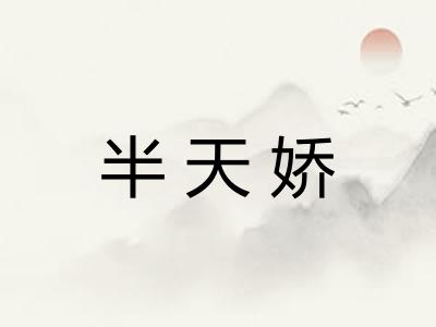 半天娇