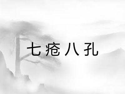 七疮八孔