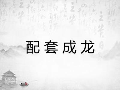 配套成龙